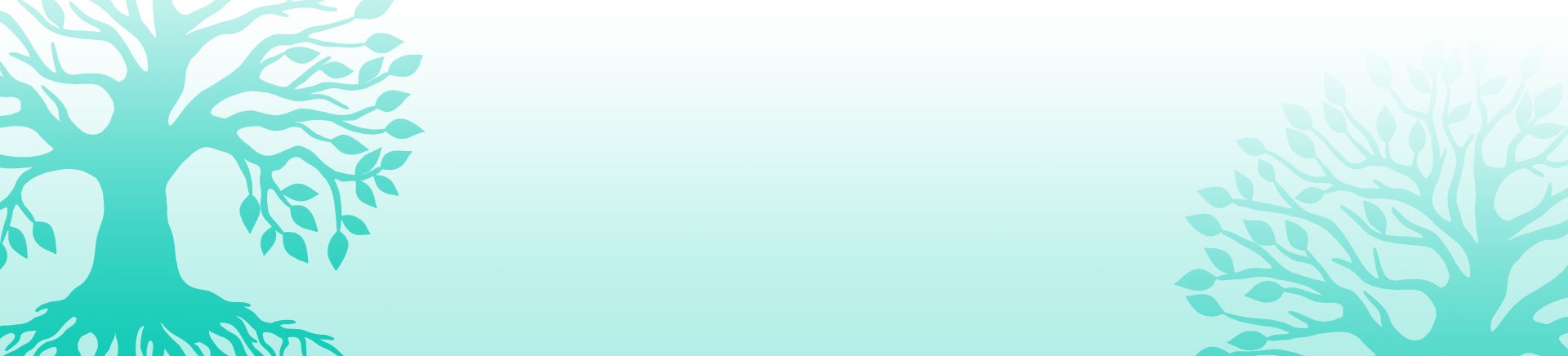 photo_fond_header